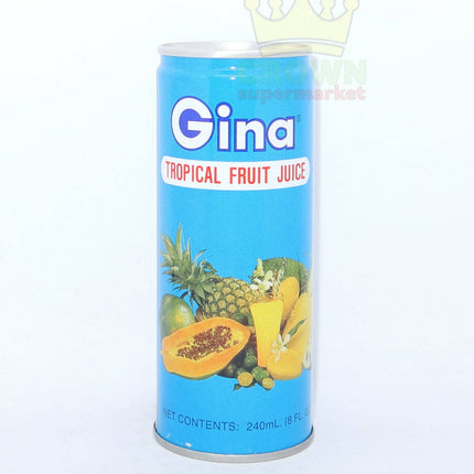 Gina Tropical Fruit Juice 240ml - Crown Supermarket